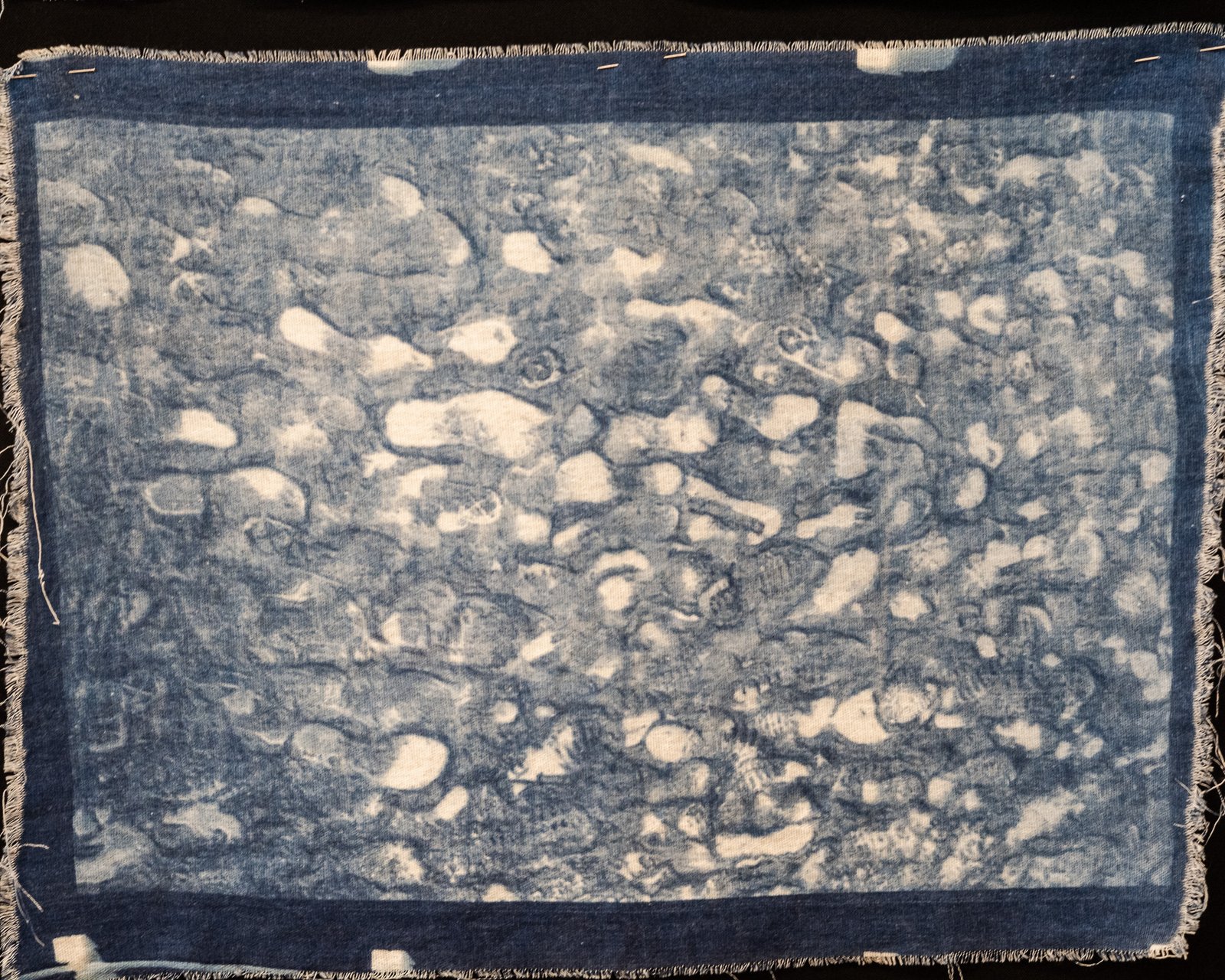 Stones / detritus — cyanotype on cotton