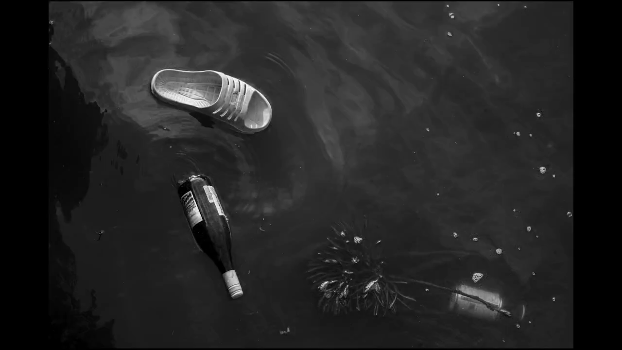 Singularidad — water-surface debris, India and Oakland
